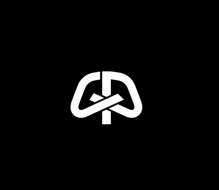 灵感源于庆祝动作！帕尔默社媒晒出个人专属Logo：少即是多